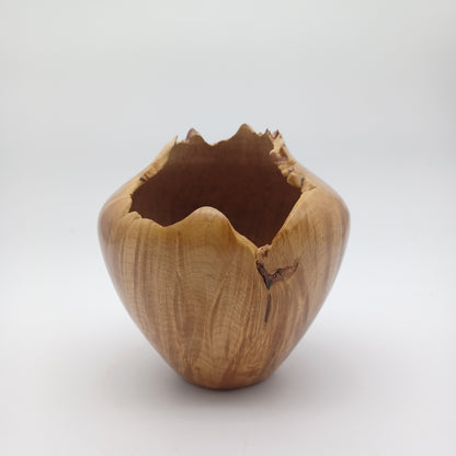Live Edge Wood Hand Carved Signed Urn Bowl