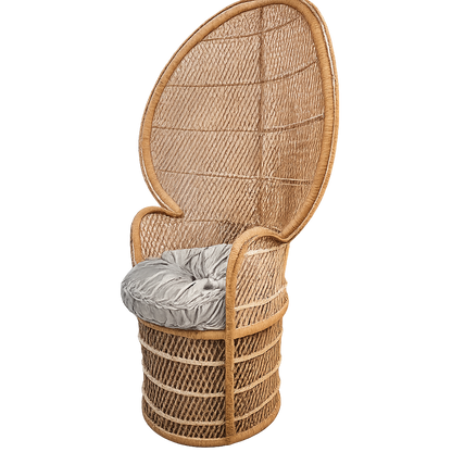 Vintage Wicker Peacock Chair