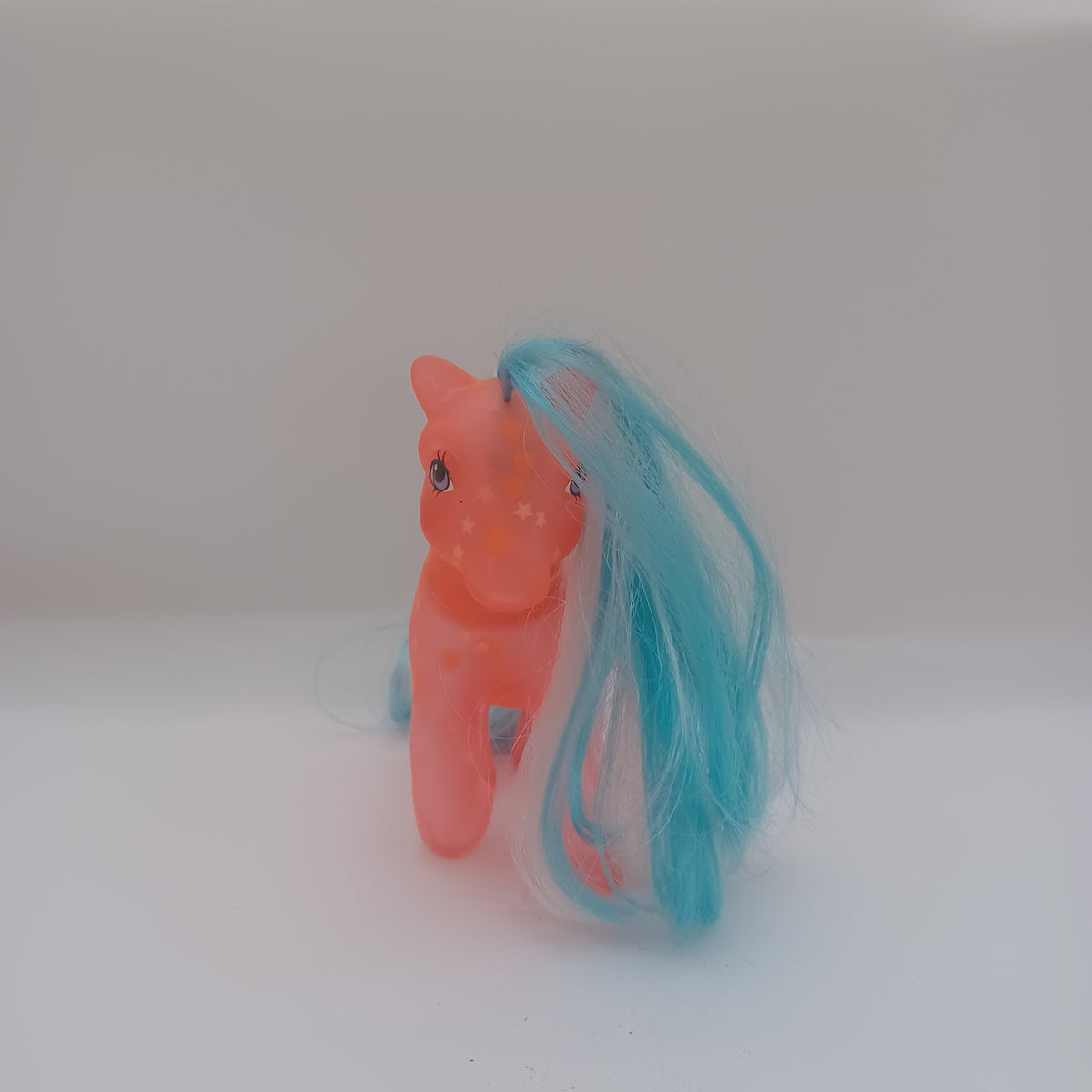Pony