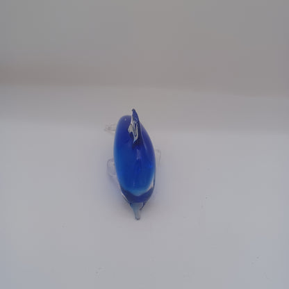 Doplhin