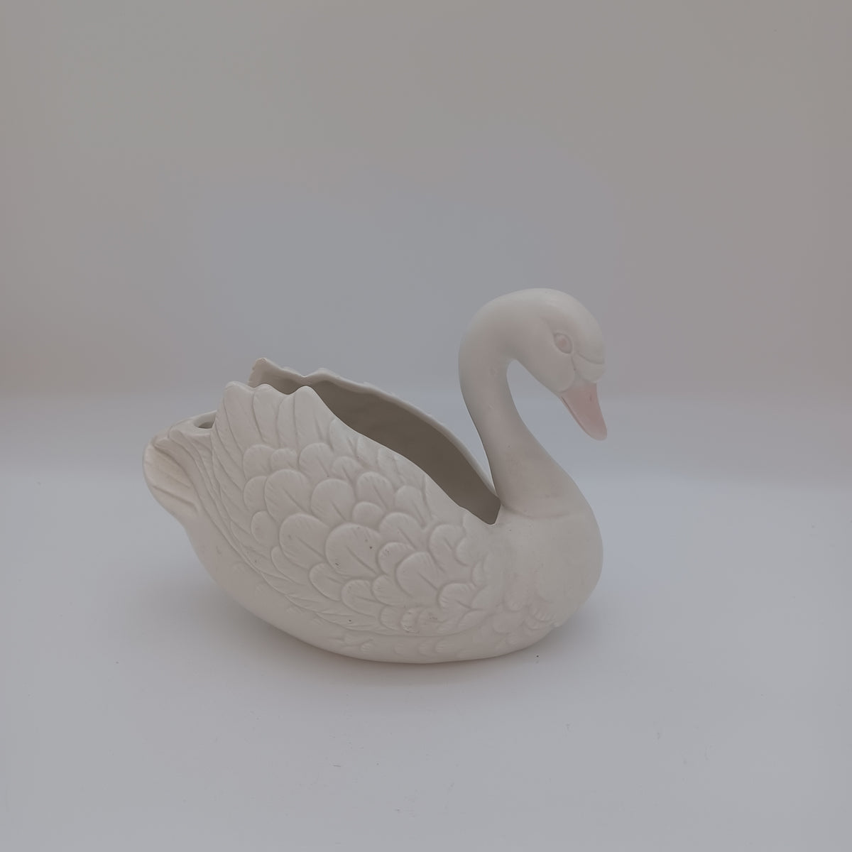 Swan