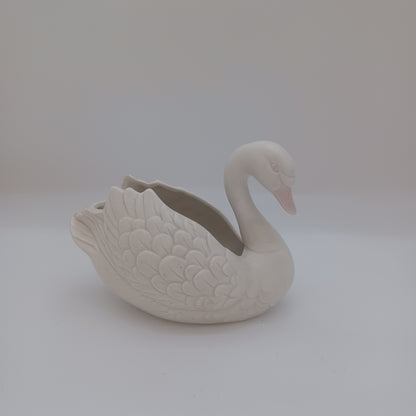 Swan