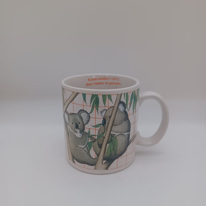 Koala mug
