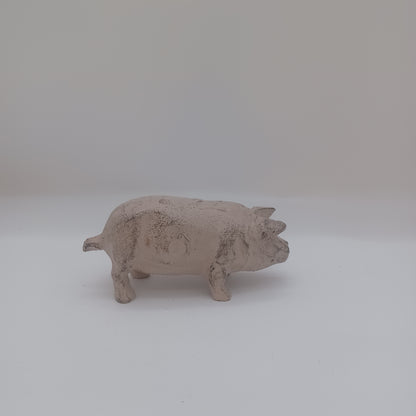 Iron pig