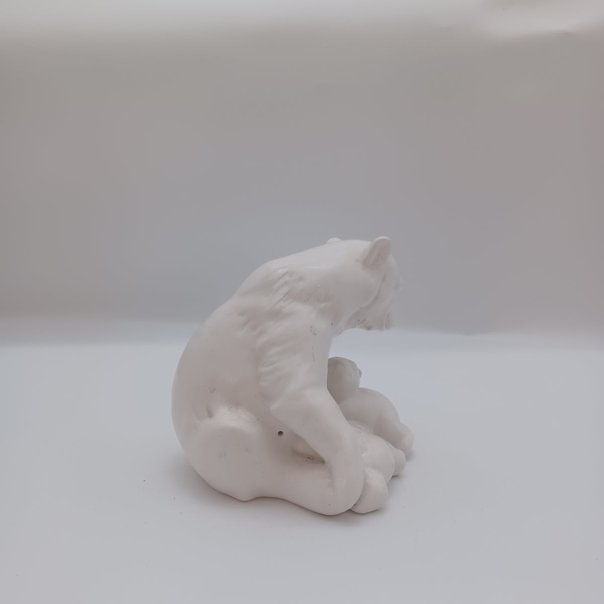 Polar bear