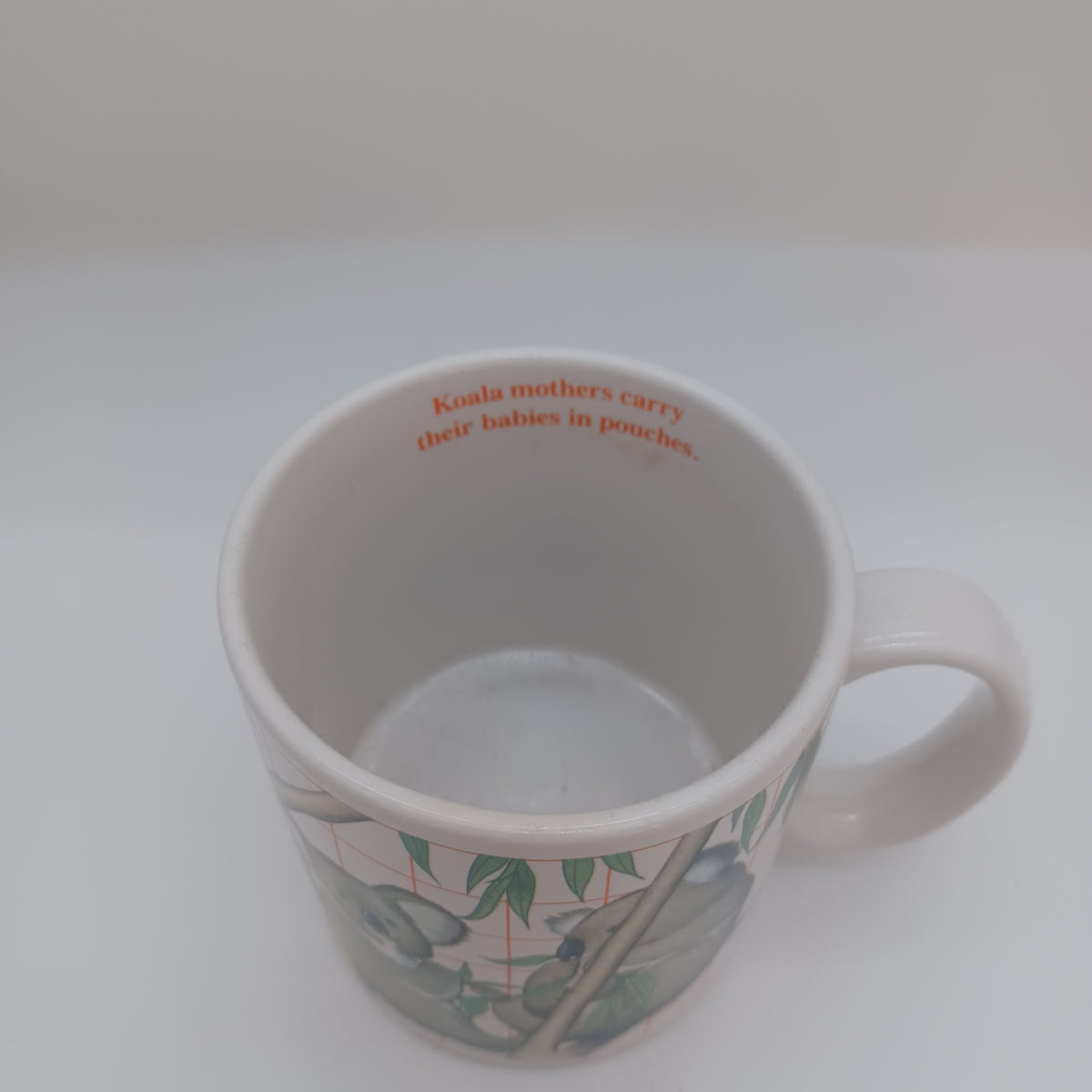 Koala mug