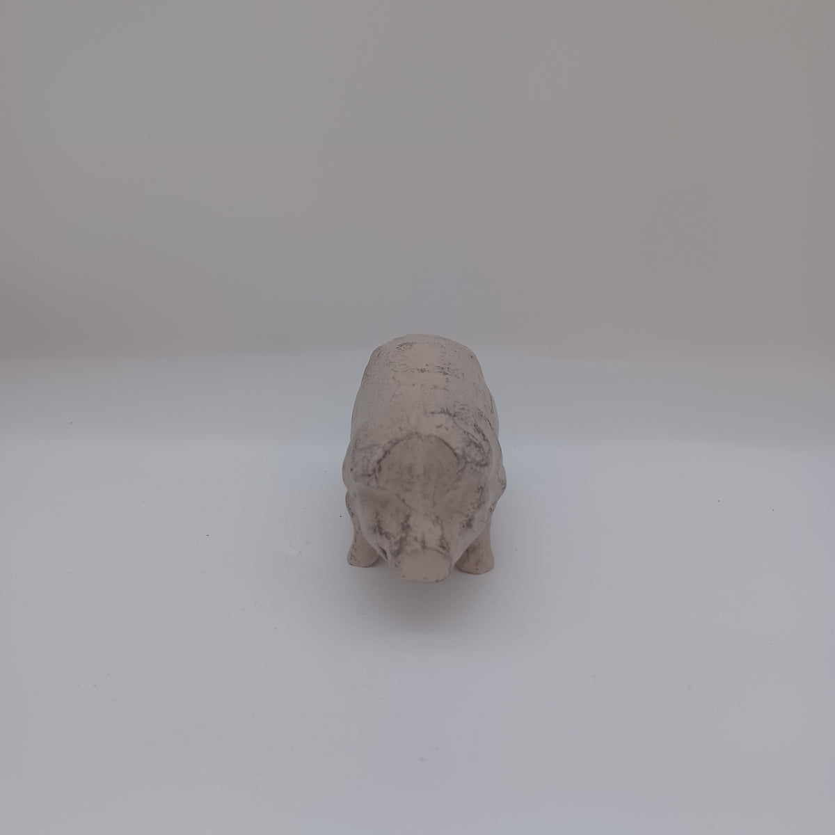 Iron pig