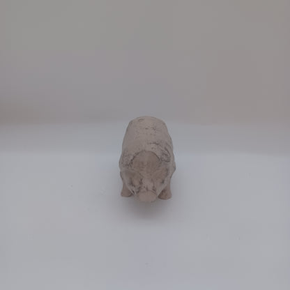 Iron pig