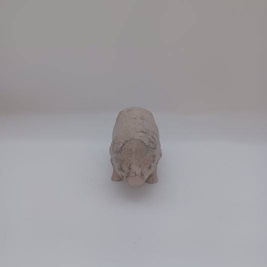 Iron pig
