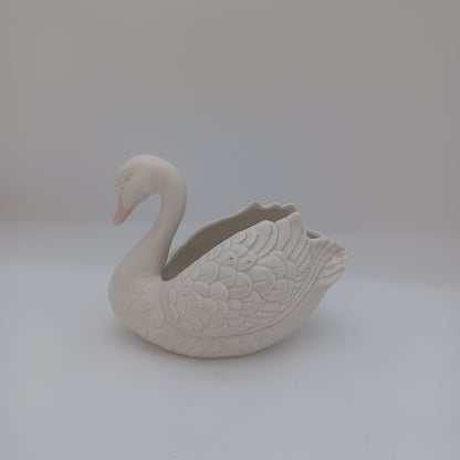 Swan