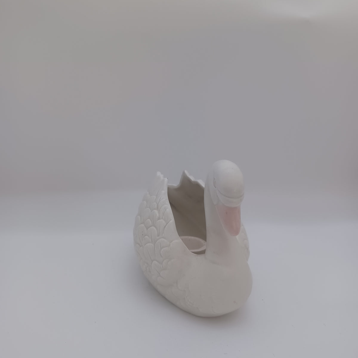 Swan