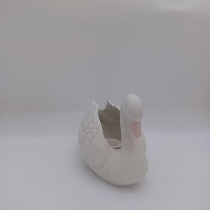 Swan