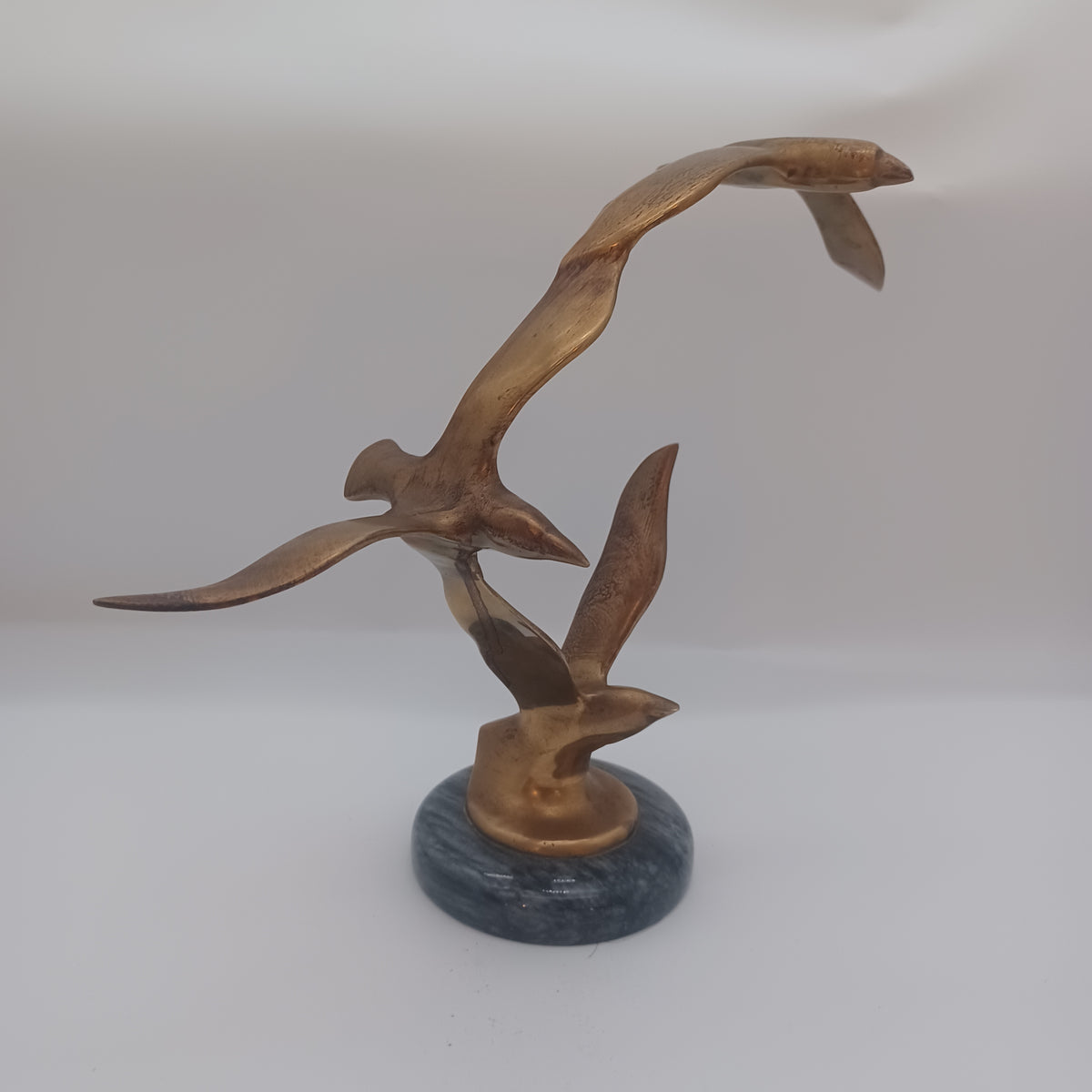 Birds