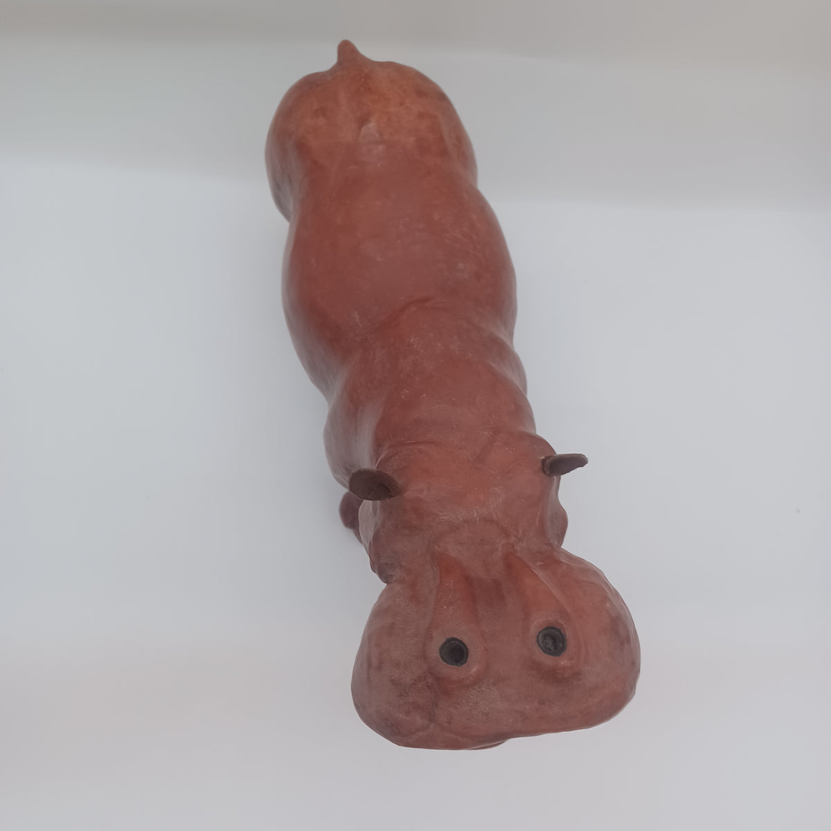 Hippo
