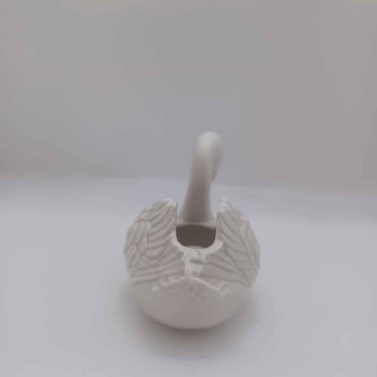 Swan